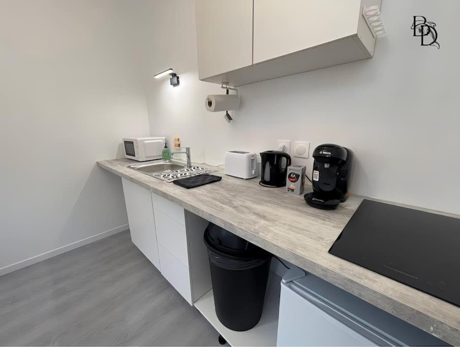 T1 Bis Appartement B3 30M2 Cosy 7Min A Pieds Des Gares Roanne Luaran gambar