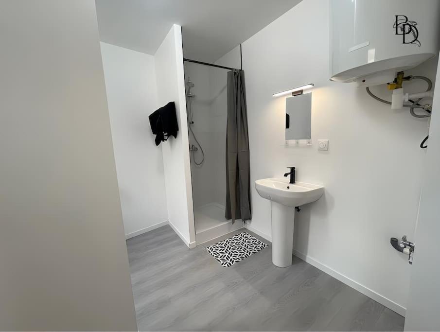 T1 Bis Appartement B3 30M2 Cosy 7Min A Pieds Des Gares Roanne Luaran gambar