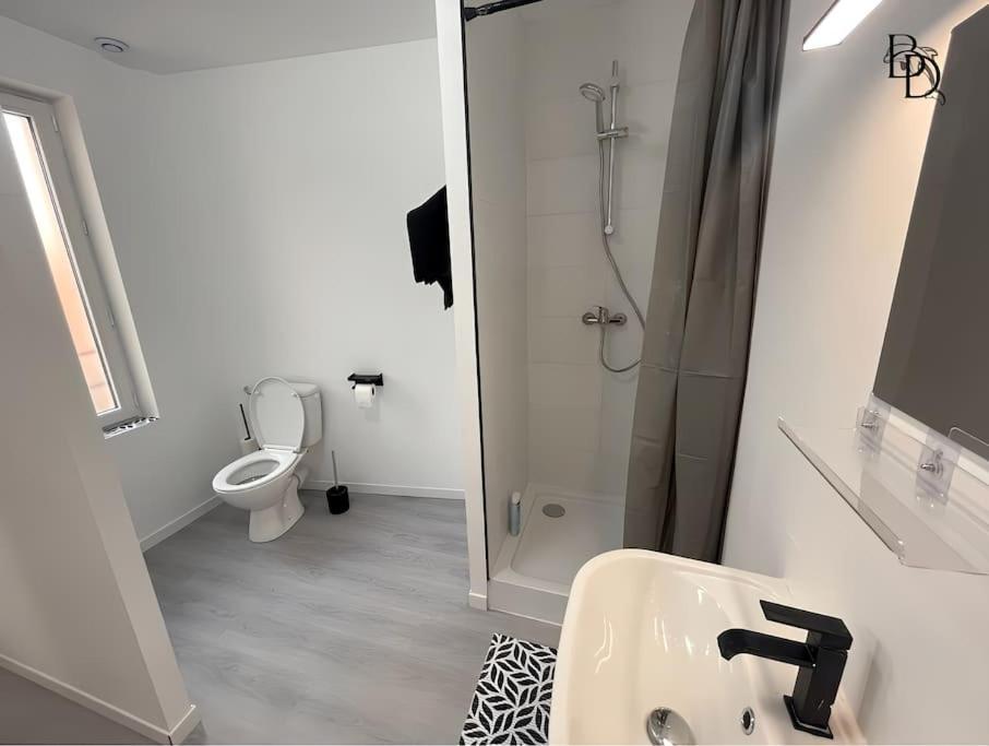 T1 Bis Appartement B3 30M2 Cosy 7Min A Pieds Des Gares Roanne Luaran gambar